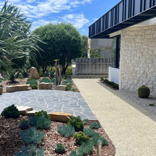 A garden with a stone walkway and plants.