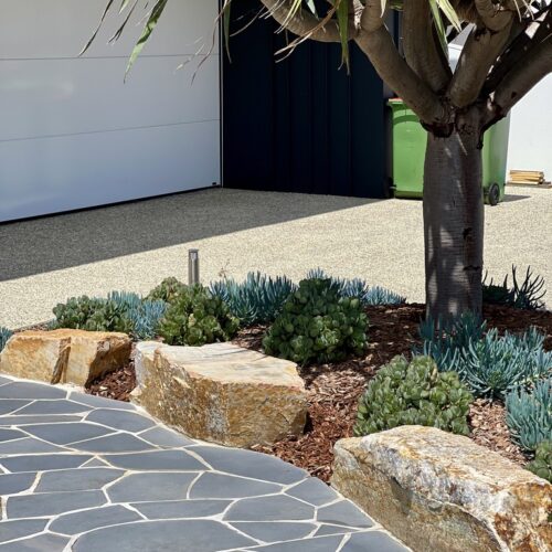 A driveway with a stone walkway and a tree.