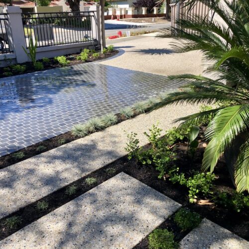 A backyard with a stone walkway and palm trees.