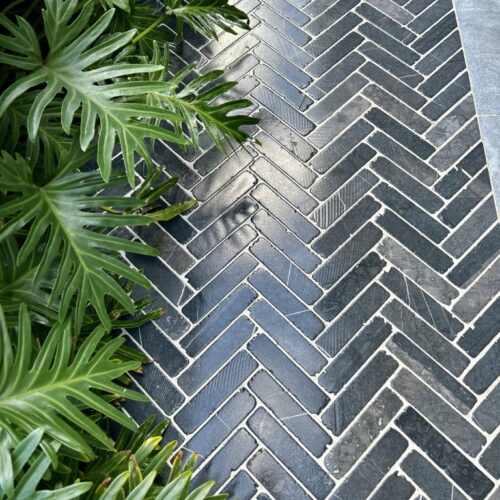 A herringbone tiled walkway next to a tropical plant.