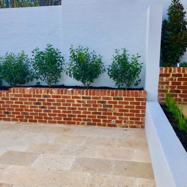 A garden with a stone wall and plants.